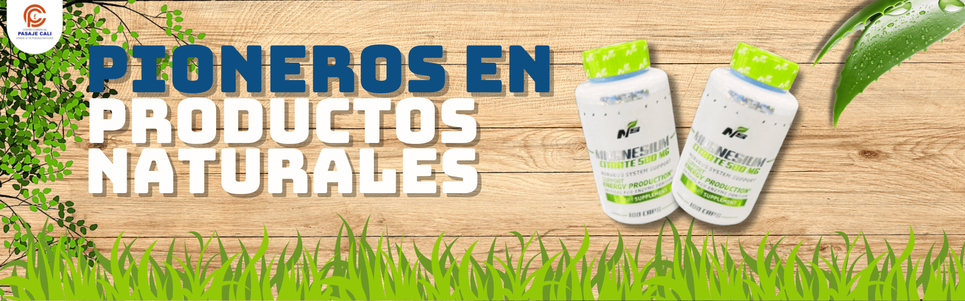 BANNERS PRODUCTOS NATURALES